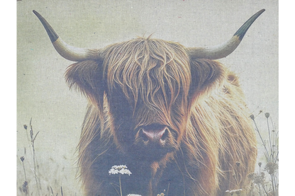 Canvas Wall Art - Cow In Field