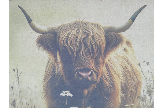 Canvas Wall Art - Cow In Field