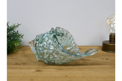 Glass Shell