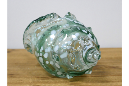 Glass Shell