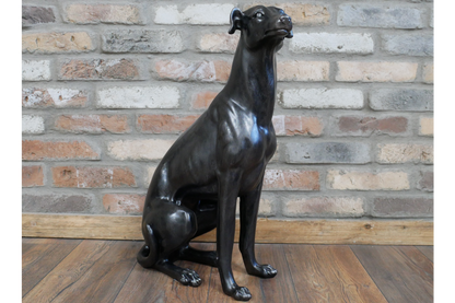 Sitting Whippet