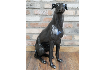 Sitting Whippet