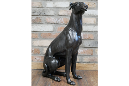 Sitting Whippet