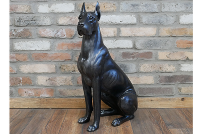 Sitting Great Dane
