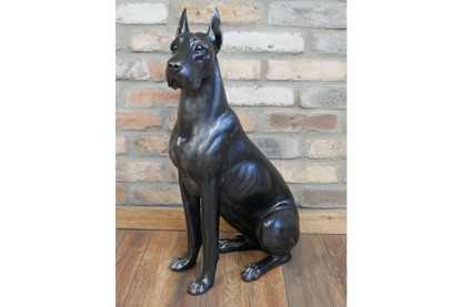 Sitting Great Dane