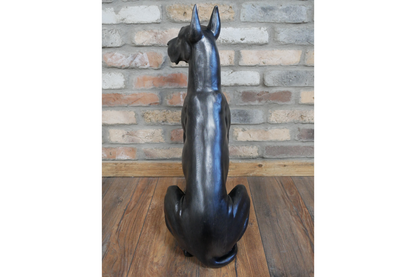 Sitting Great Dane