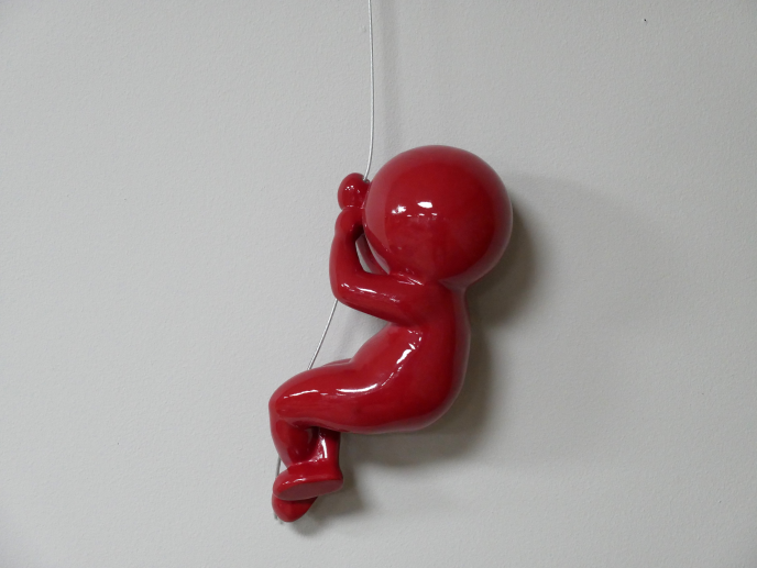 Abseiling Ball Head