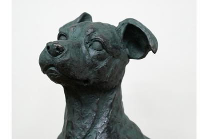 Sitting Dog