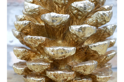 Giant Gold Pinecone