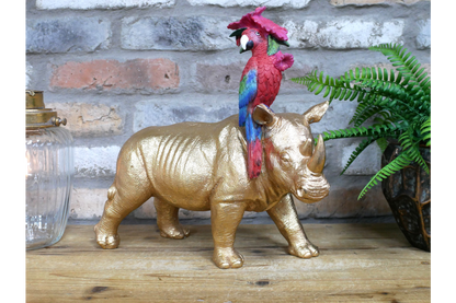 Rhino & Parrot