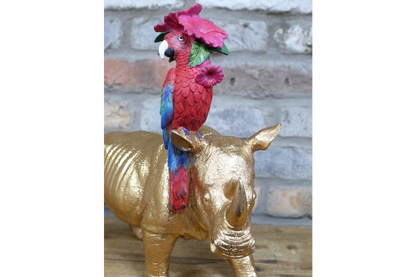 Rhino & Parrot