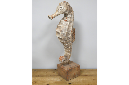 Seahorse