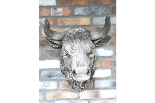Cow Head