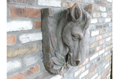 Horse Head