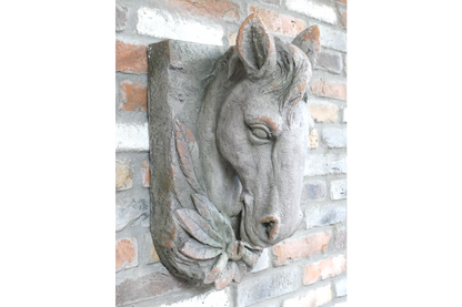 Horse Head