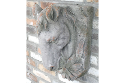 Horse Head