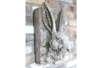Rabbit Head