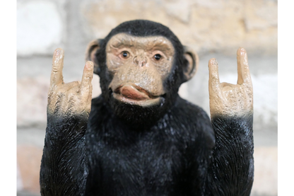 Rock N Roll Monkey