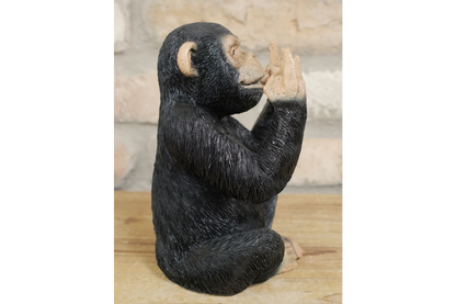 Rock N Roll Monkey