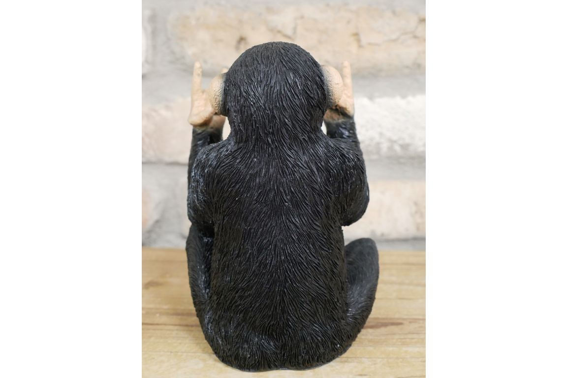 Rock N Roll Monkey