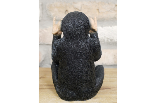 Rock N Roll Monkey