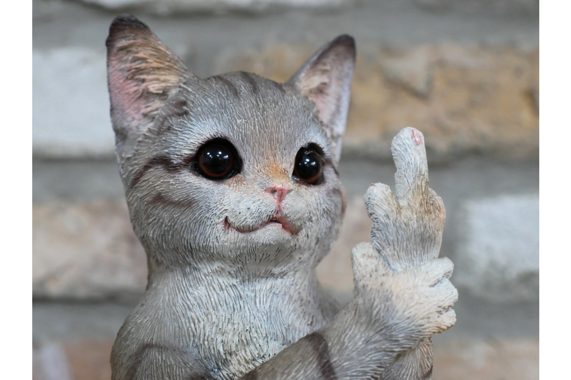 Up Yours Cat