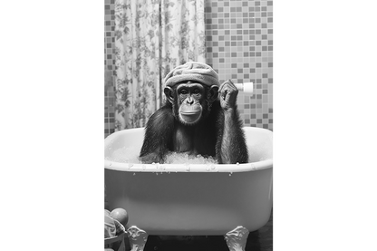 Monkey In Bath Wall Art