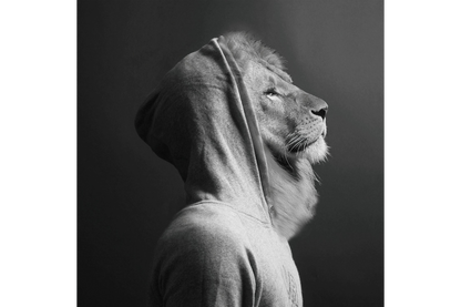 Lion In Hoodie Wall Art - Mini
