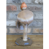 Robin On Top Of Mushrooms