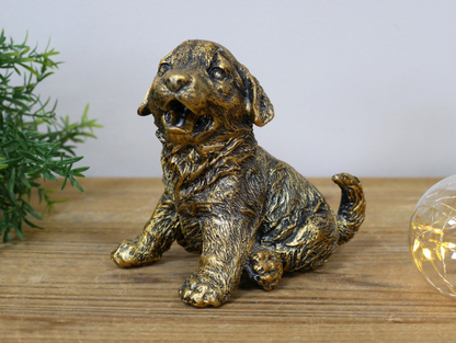 Puppy