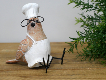 Bird Chef