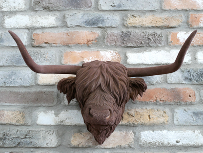 Cow Head