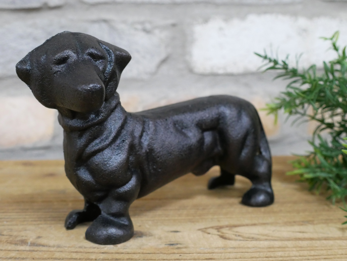 Sausage Dog
