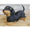 Playful Puppy