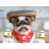 Mexican Bulldog
