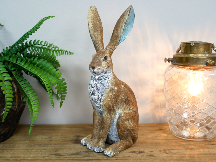 Rabbit