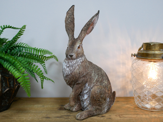 Rabbit