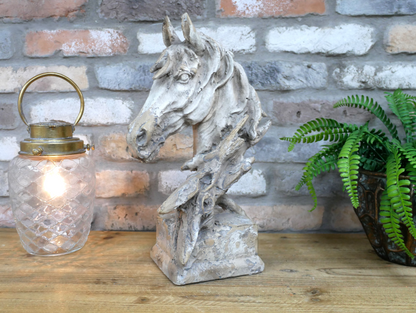 Horse Head