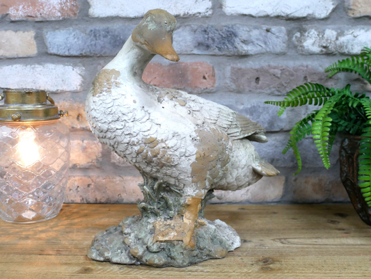 Duck - Small