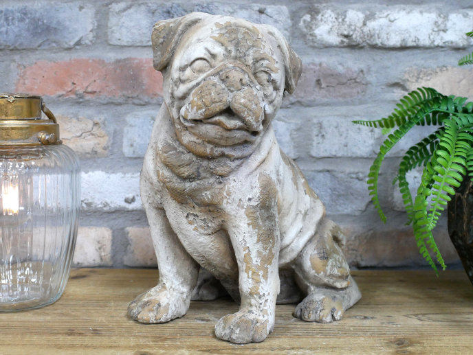 Sitting Dog