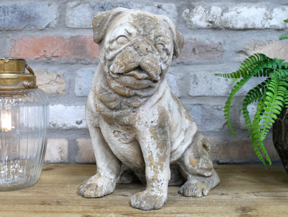 Sitting Dog