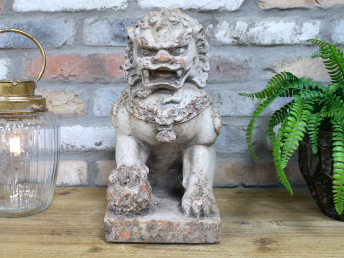 Lion Dog