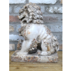 Lion Dog