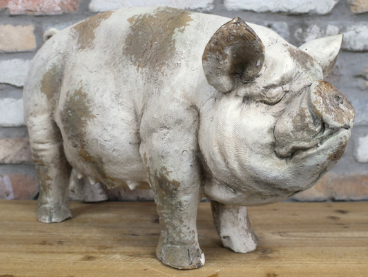 Pig