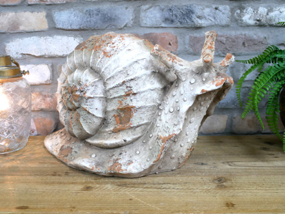 Snail