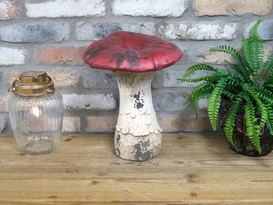 Mushroom