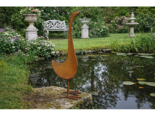 Small Rusty Bird