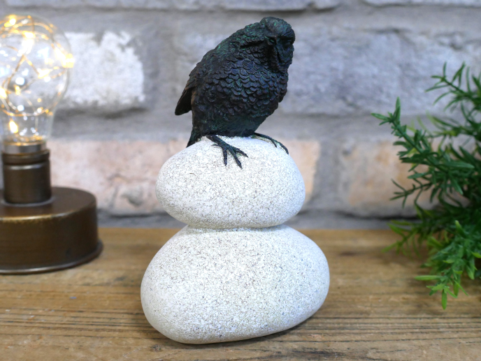 Bird Stood On Pebbles