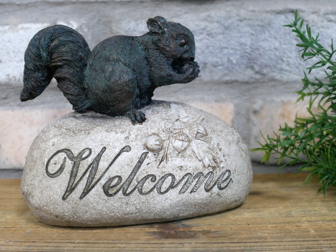 Squirrel On A Rock