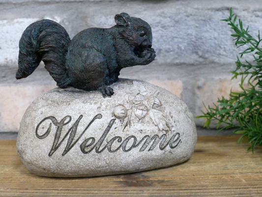 Squirrel On A Rock